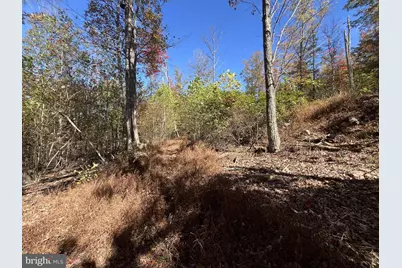 Lot 27 Chance Lane, Paw Paw, WV 25434 - Photo 7