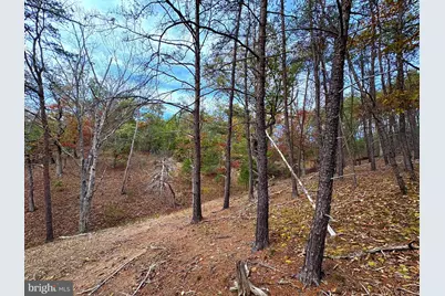 6.92 Ac Purgitsville Pike, Purgitsville, WV 26852 - Photo 5