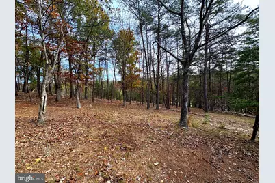 6.92 Ac Purgitsville Pike, Purgitsville, WV 26852 - Photo 7