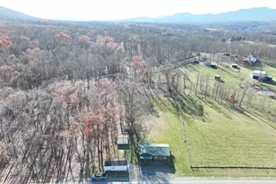 Hickory Hill Rd, Purgitsville, WV 26852 - Photo 19