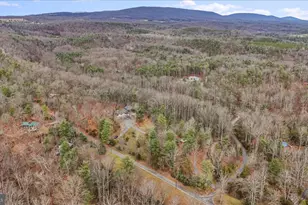 625 Twin Flower Ln, Capon Bridge, WV 26711 - Photo 89