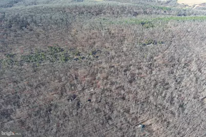 1070 Crystal Hollow Road, Green Spring, WV 26722 - Photo 67