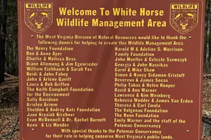 1070 Crystal Hollow Rd, Green Spring, WV 26722 - Photo 87