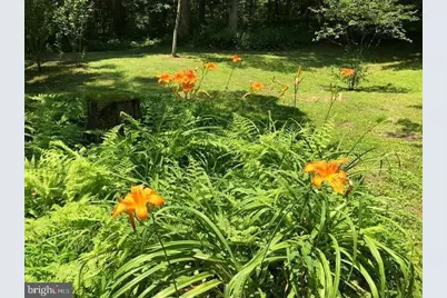 1070 Crystal Hollow Road, Green Spring, WV 26722 - Photo 25