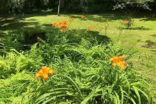 1070 Crystal Hollow Rd, Green Spring, WV 26722 - Photo 25