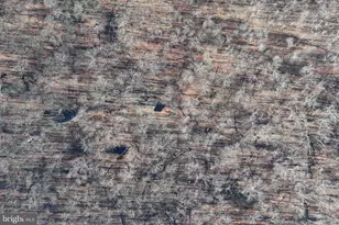 1070 Crystal Hollow Rd, Green Spring, WV 26722 - Photo 69