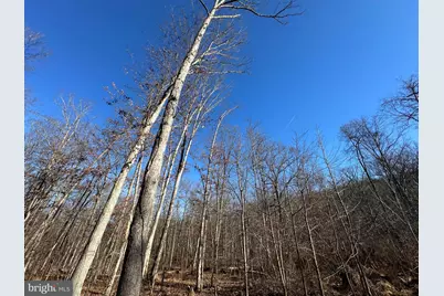 1070 Crystal Hollow Road, Green Spring, WV 26722 - Photo 73