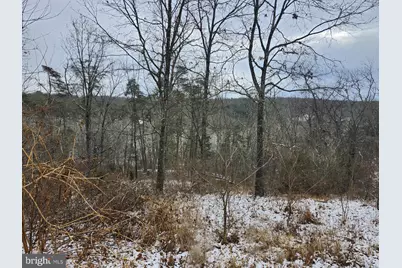 886 Mountain Heritage Estates Road, Augusta, WV 26704 - Photo 89