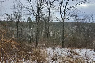 886 Mountain Heritage Ests Rd, Augusta, WV 26704 - Photo 89