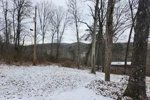 886 Mountain Heritage Ests Rd, Augusta, WV 26704 - Photo 85