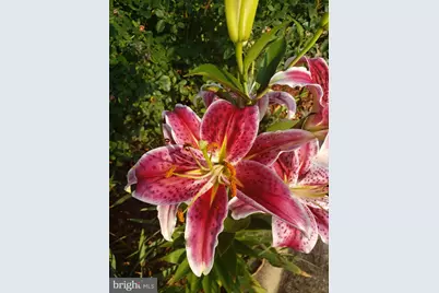 886 Mountain Heritage Estates Road, Augusta, WV 26704 - Photo 13