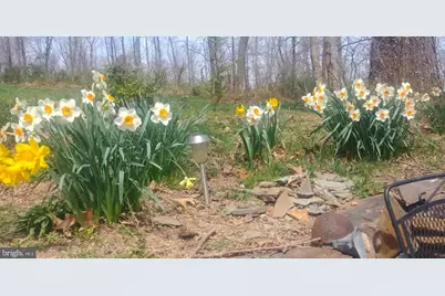 886 Mountain Heritage Estates Road, Augusta, WV 26704 - Photo 21