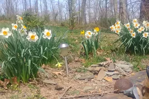 886 Mountain Heritage Ests Rd, Augusta, WV 26704 - Photo 21