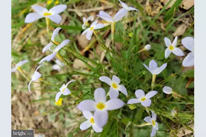 886 Mountain Heritage Estates Road, Augusta, WV 26704 - Photo 19