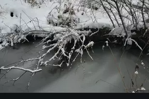 886 Mountain Heritage Ests Rd, Augusta, WV 26704 - Photo 97