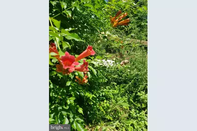 886 Mountain Heritage Estates Road, Augusta, WV 26704 - Photo 15