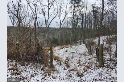 886 Mountain Heritage Estates Road, Augusta, WV 26704 - Photo 77