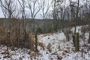 886 Mountain Heritage Ests Rd, Augusta, WV 26704 - Photo 77