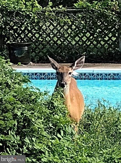 76 Windsor Dr, Charles Town WV 25414-2560 exterior