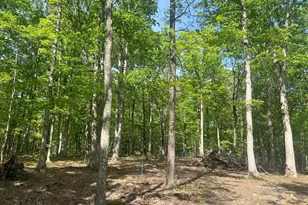 Tbd Waterside Dr, Harpers Ferry, WV 25425 - Photo 65