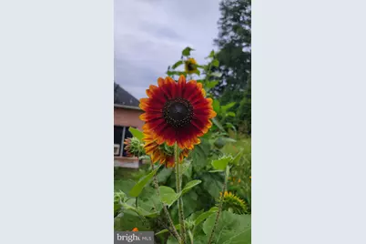 11 Marsh Hawk Way, Shepherdstown, WV 25443 - Photo 87