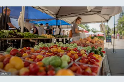 63 Anthem Street, Ranson, WV 25438 - Photo 19