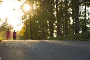 143 Taft Ave, Ranson, WV 25438 - Photo 45