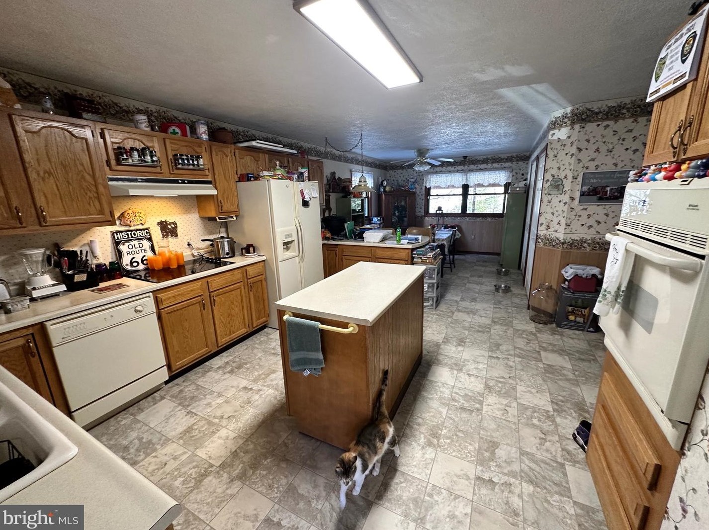 14172 Patterson Creek Rd, Medley WV  26710 exterior