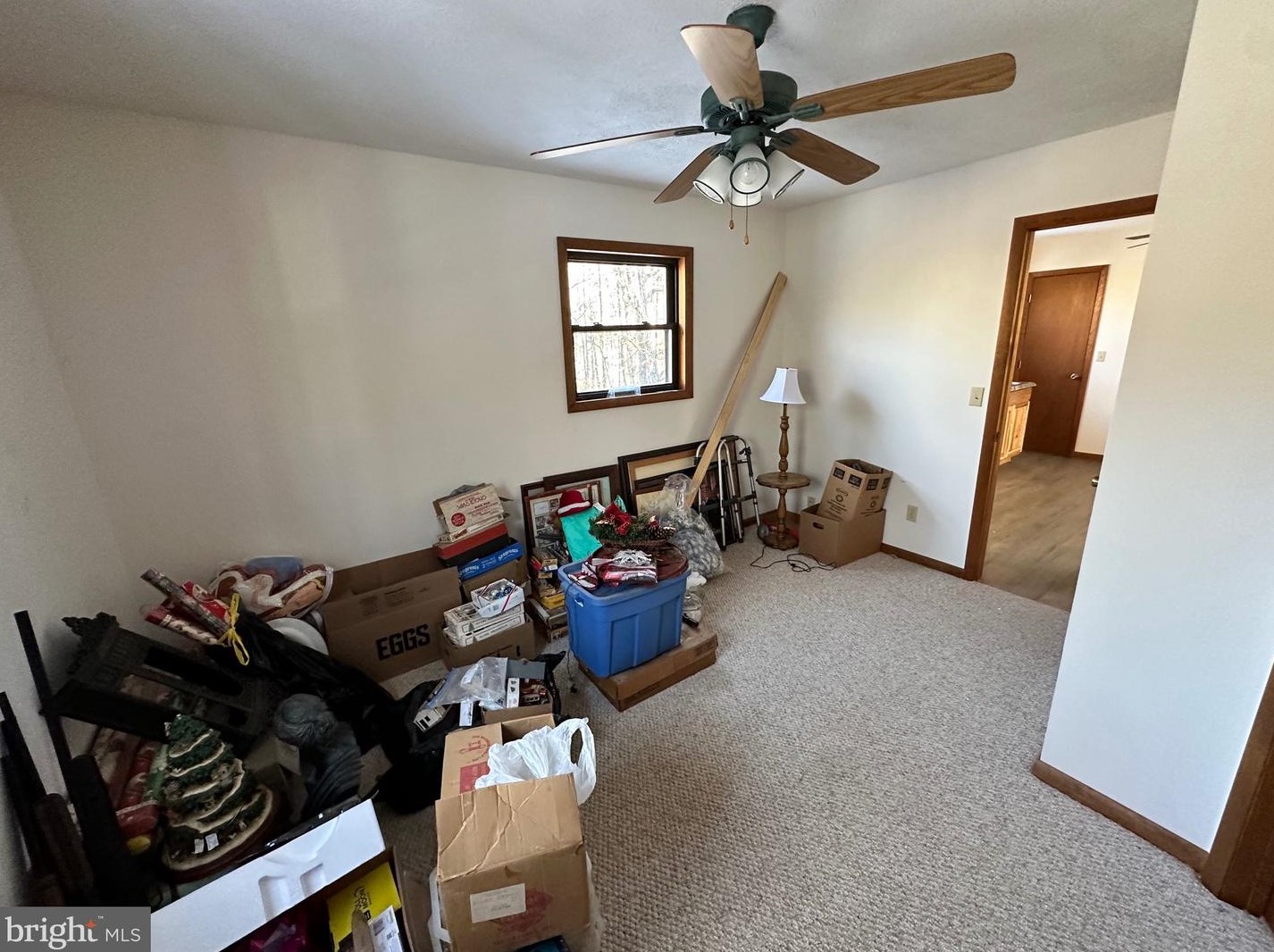 14172 Patterson Creek Rd, Medley WV  26710 exterior