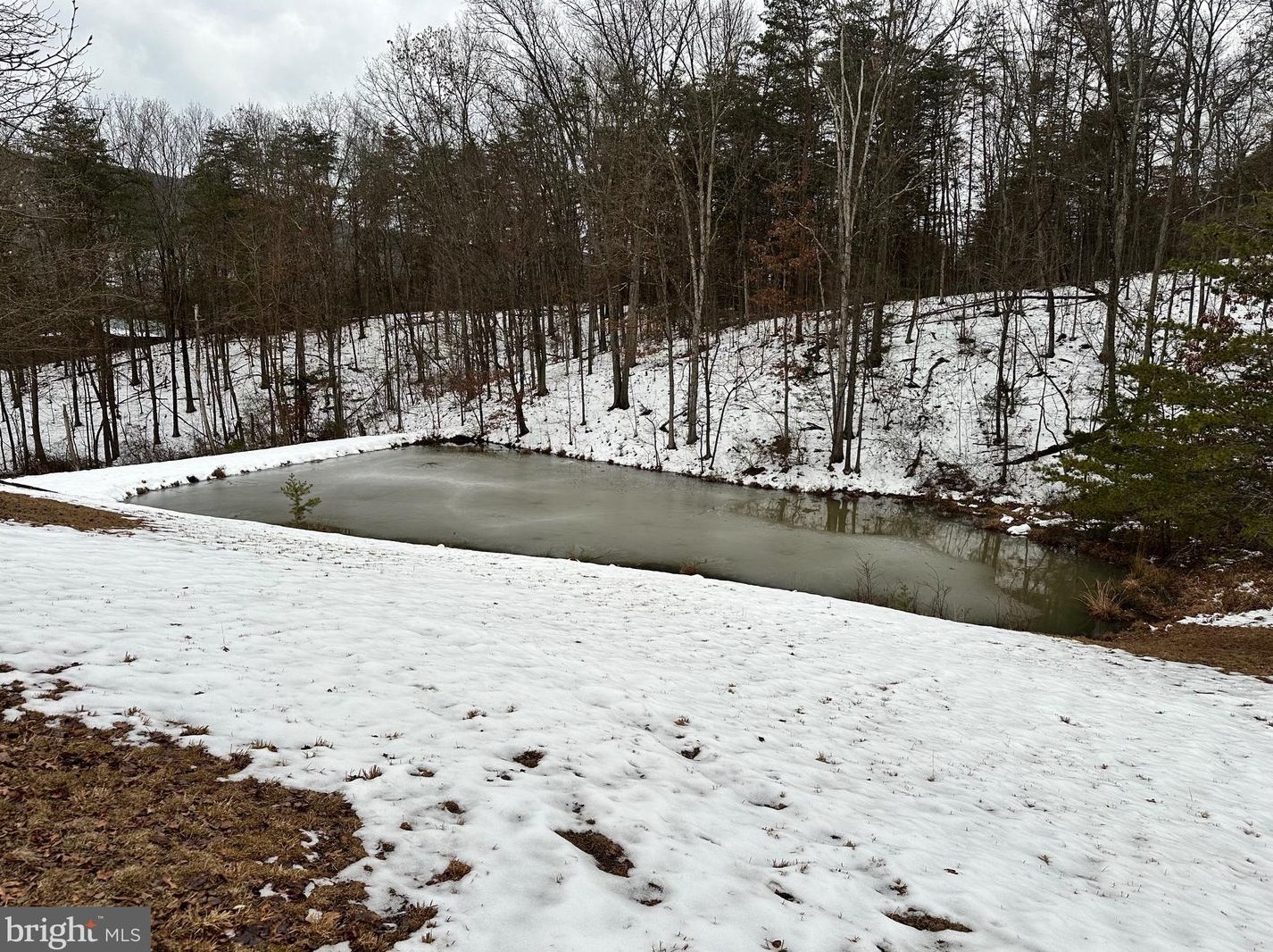 14172 Patterson Creek Rd, Medley WV  26710 exterior