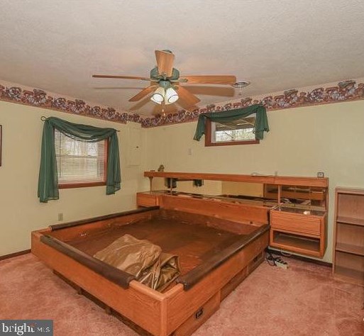 14172 Patterson Creek Rd, Medley WV  26710 exterior