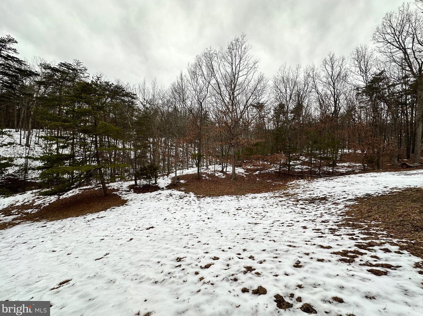 14172 Patterson Creek Rd, Medley WV  26710 exterior