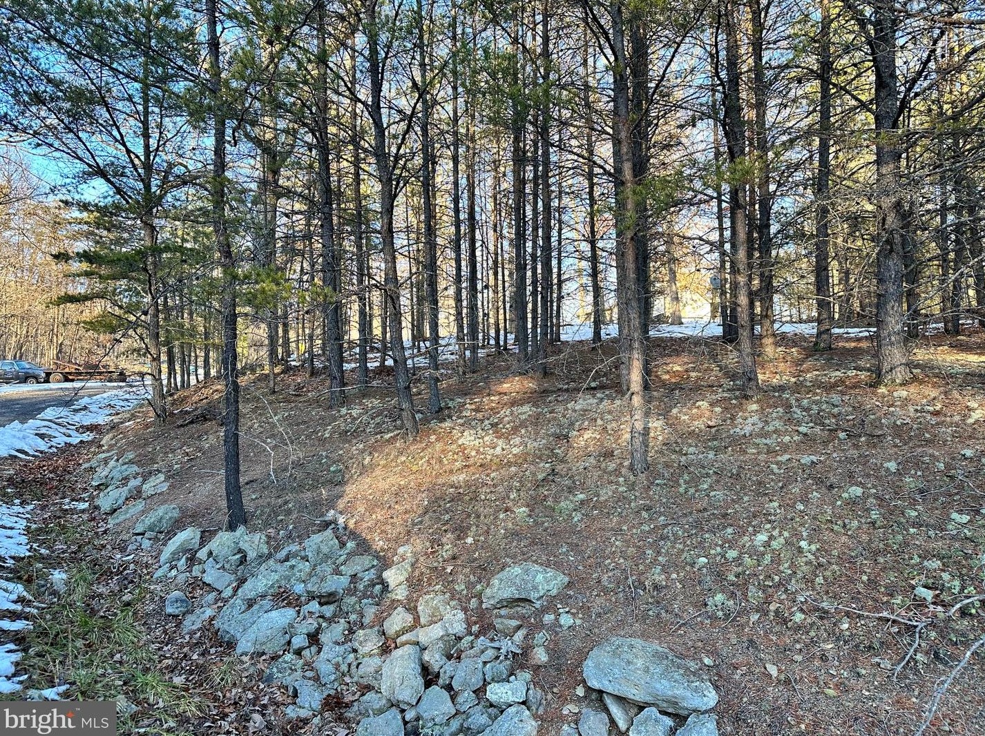 14172 Patterson Creek Rd, Medley WV  26710 exterior