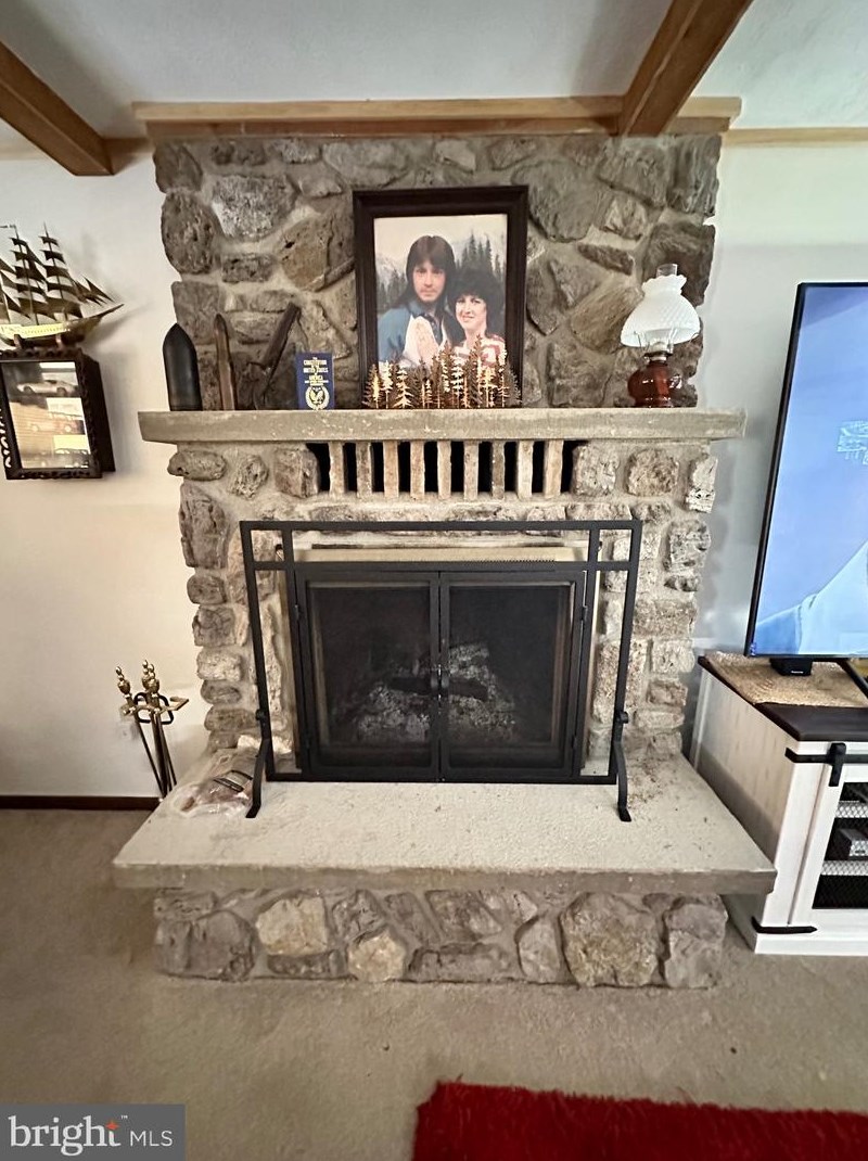 14172 Patterson Creek Rd, Medley WV  26710 exterior