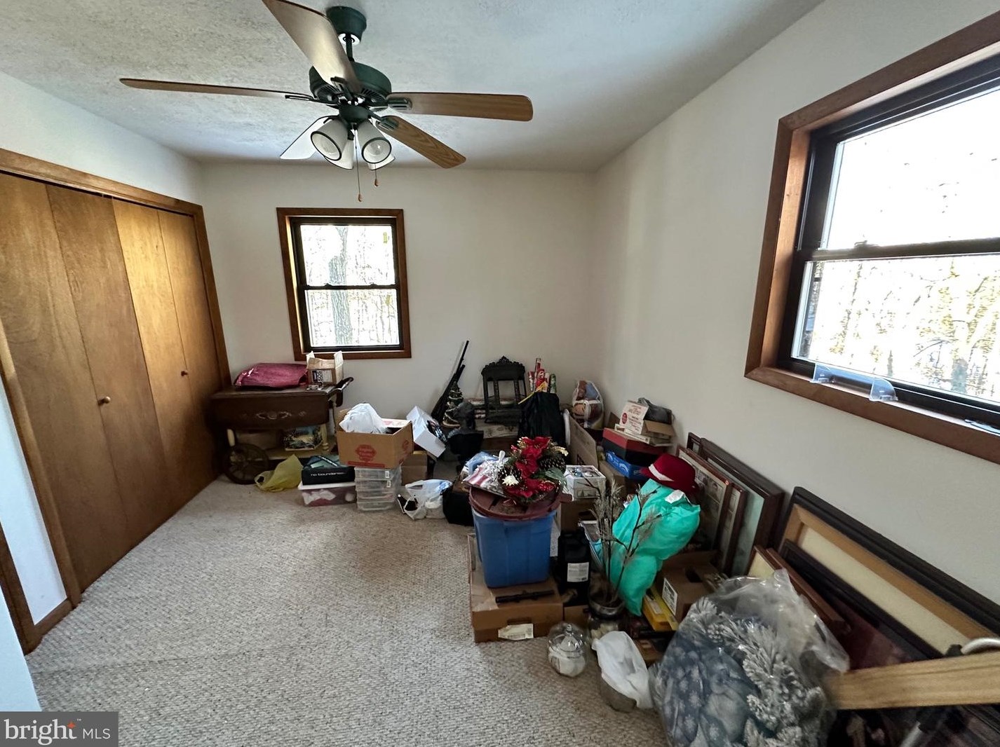 14172 Patterson Creek Rd, Medley WV  26710 exterior