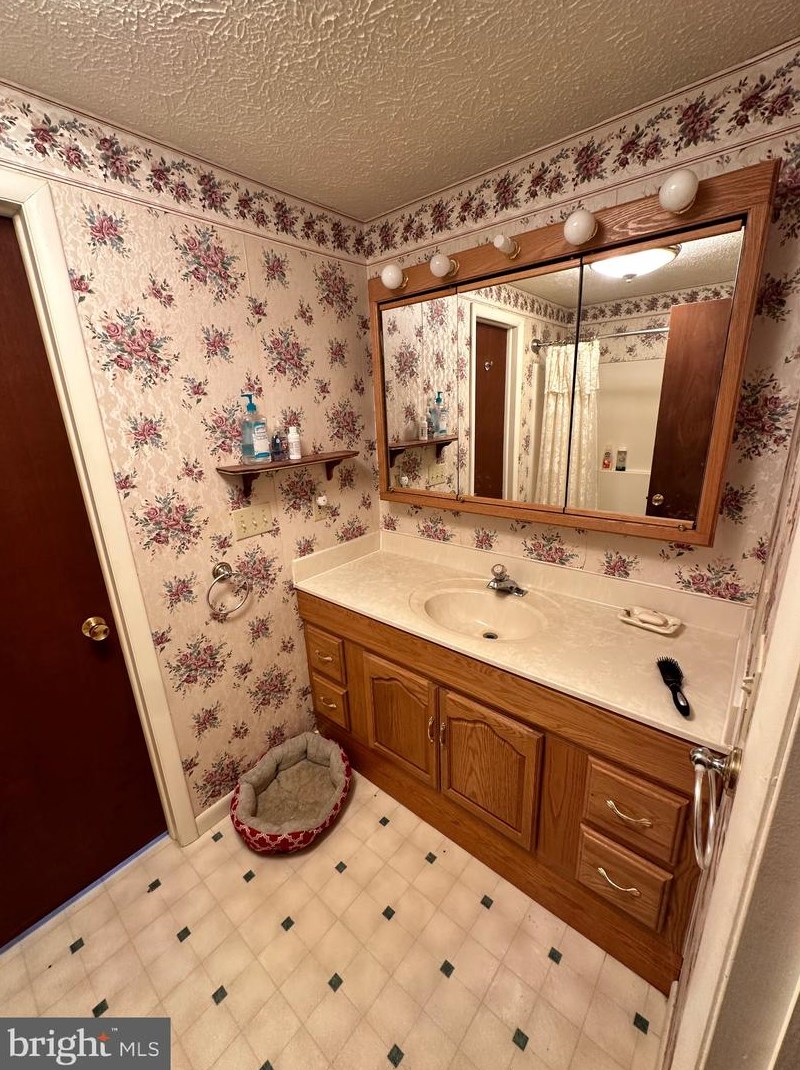 14172 Patterson Creek Rd, Medley WV  26710 exterior