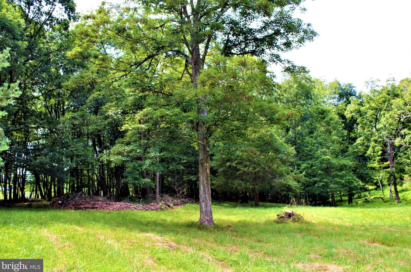 5374 Knobley Rd, Medley WV  26726 exterior