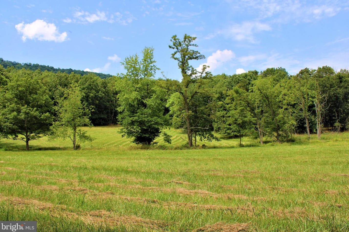 5374 Knobley Rd, Medley WV  26726 exterior