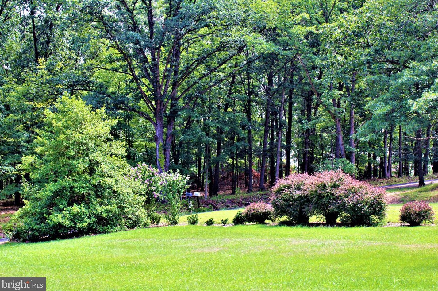 5374 Knobley Rd, Medley WV  26726 exterior