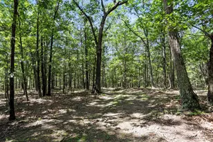 2180 Old Smith Farm Rd, Springfield, WV 26763 - Photo 23