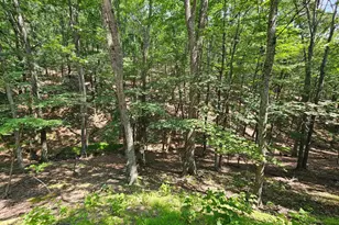 3029 Whitetail Ridge Rd, Burlington, WV 26710 - Photo 69