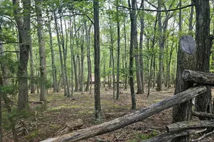 3029 Whitetail Ridge Rd, Burlington, WV 26710 - Photo 61