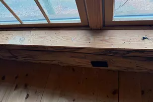 3029 Whitetail Ridge Rd, Burlington, WV 26710 - Photo 99