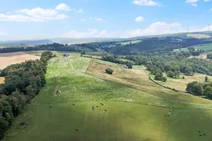 542 Bane Cutoff Rd, Elk Garden, WV 26717 - Photo 57