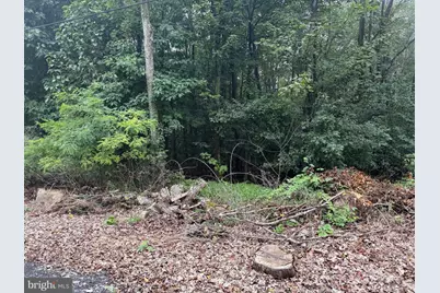 0 Pinnacle Road, Keyser, WV 26726 - Photo 49