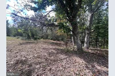 4549 Georges Run Road, Ridgeley, WV 26753 - Photo 47