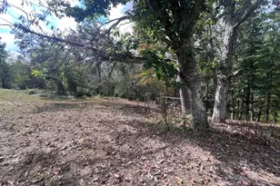 4549 Georges Run Rd, Ridgeley, WV 26753 - Photo 47