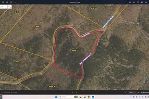 102 Bluffs Ridge Rd, Fort Ashby, WV 26719 - Photo 47