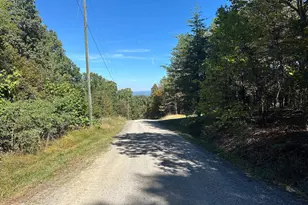 102 Bluffs Ridge Rd, Fort Ashby, WV 26719 - Photo 59