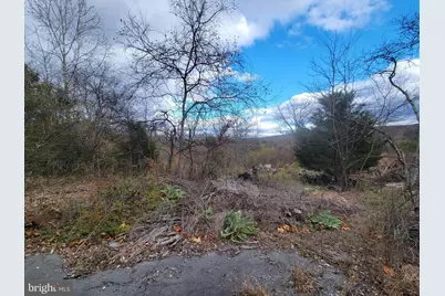 Northwestern Turnpike, Keyser, WV 26726 - Photo 9